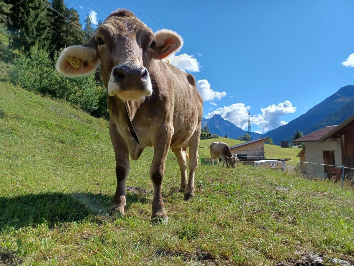 Gsörhof Lägenhet Sankt Anton am Arlberg Exteriör bild
