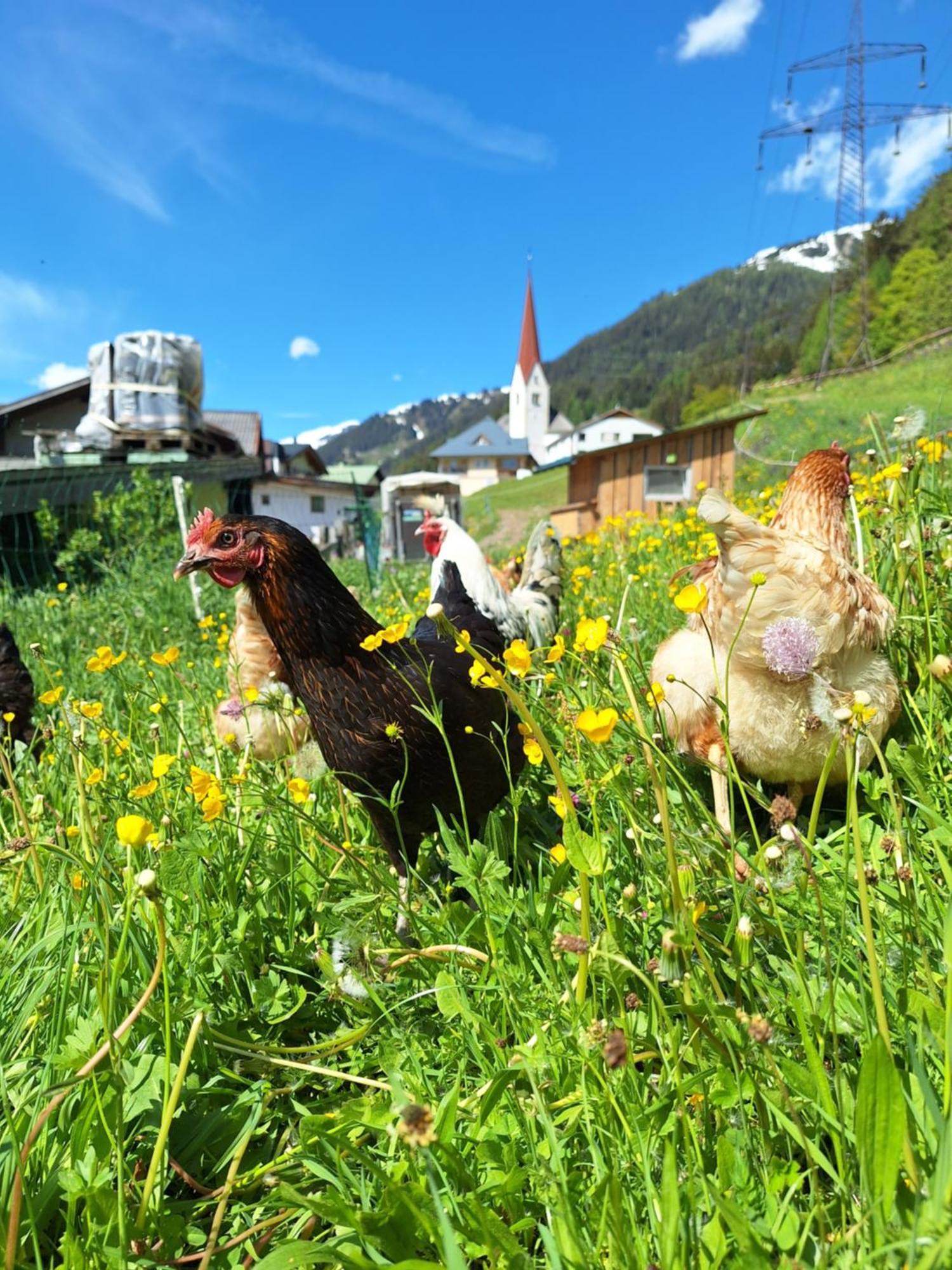 Gsörhof Lägenhet Sankt Anton am Arlberg Exteriör bild